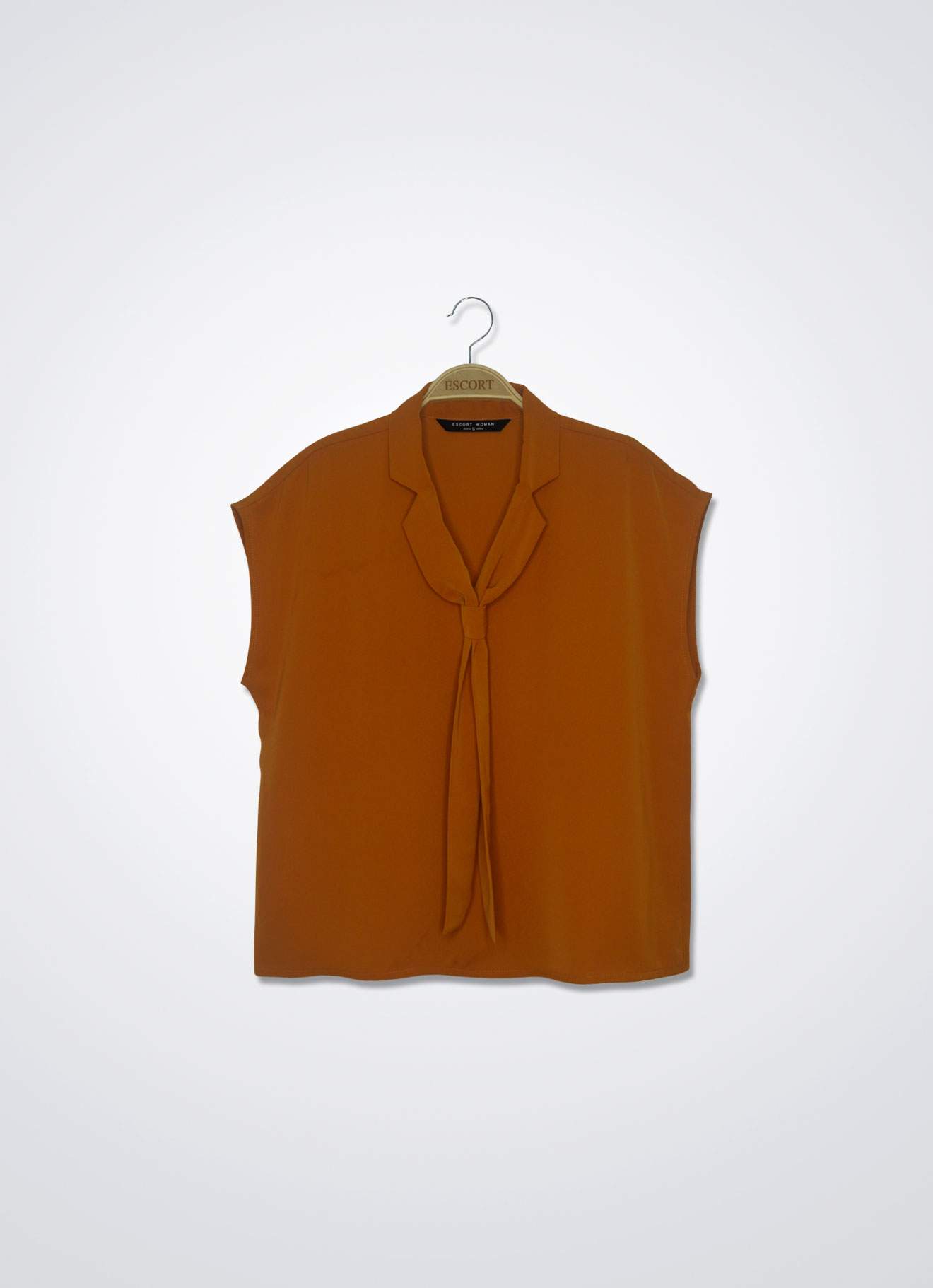 Golden-Ochre by Sleeve Top