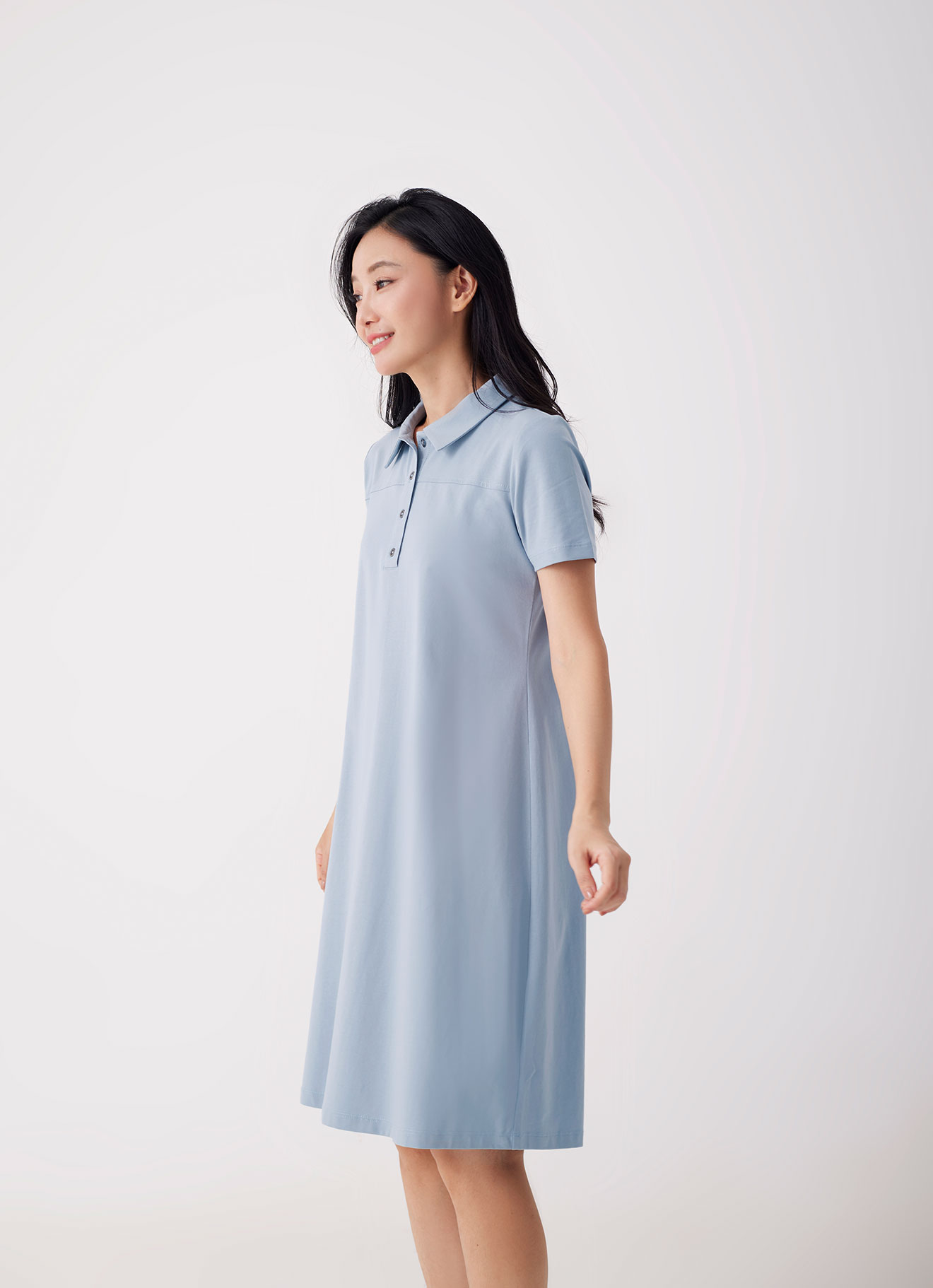 Tourmaline by Sleeve Dress